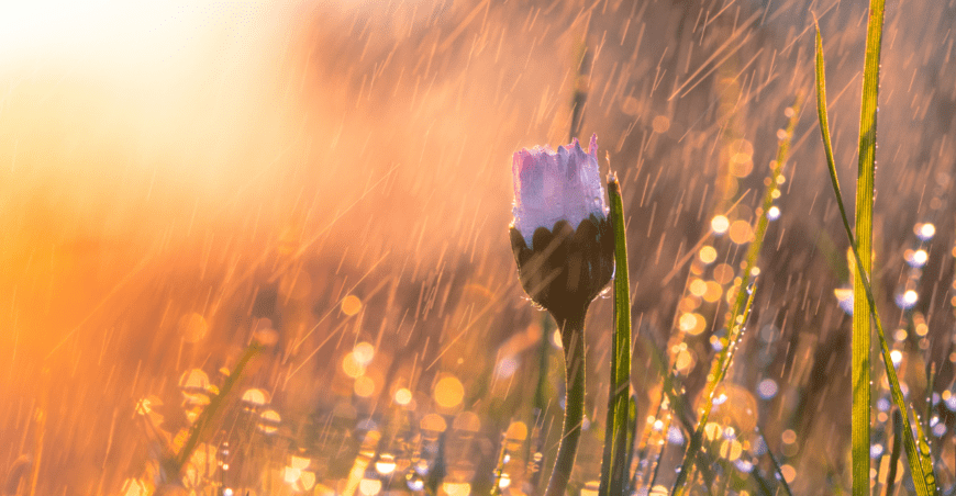 Thought of the Month - April