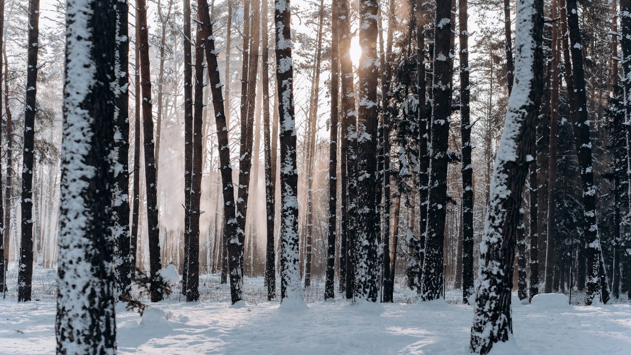 Thought for the Month – February