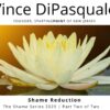 Shame Reduction | Shame Series 2025 – Part Two of Two | Vince DiPasquale