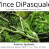 Family Systems | Codependency Series 2025 – Part Two of Nine | Vince DiPasquale