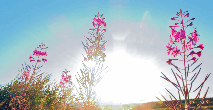 Vince’s Thought of the Month Aug 2025