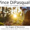 Six Stages of Recovery | Codependency Series 2025 – Part Six of Nine | Vince DiPasquale