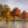 Thought of the Month – October