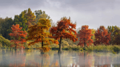 Thought of the Month - October