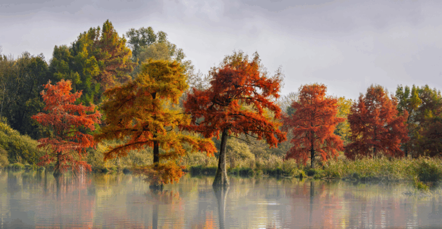 Thought of the Month - October