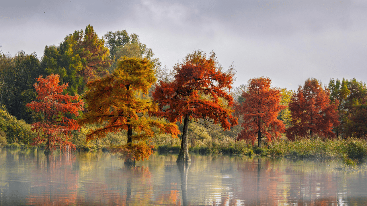 Thought of the Month – October