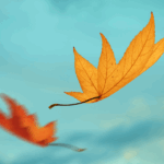 The Fall Season: The Process of Life