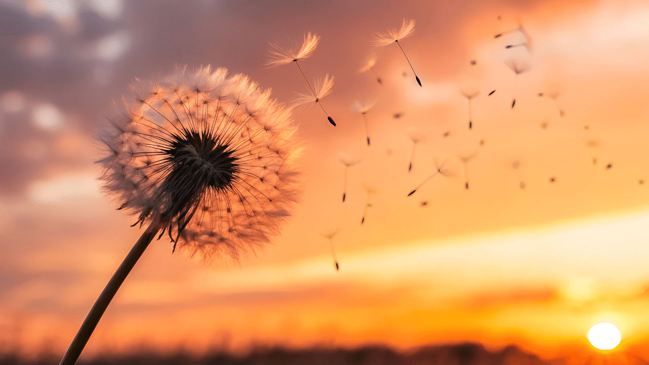 Supporting Families Through Addiction and Recovery