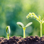 Thought for the Month – April