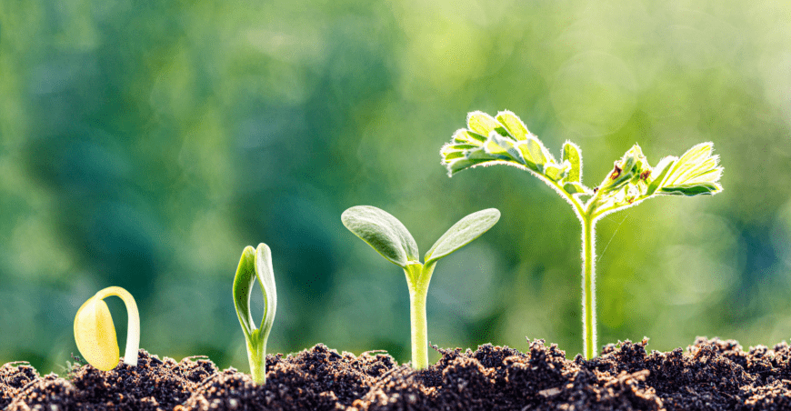 Humility: Our First Teacher