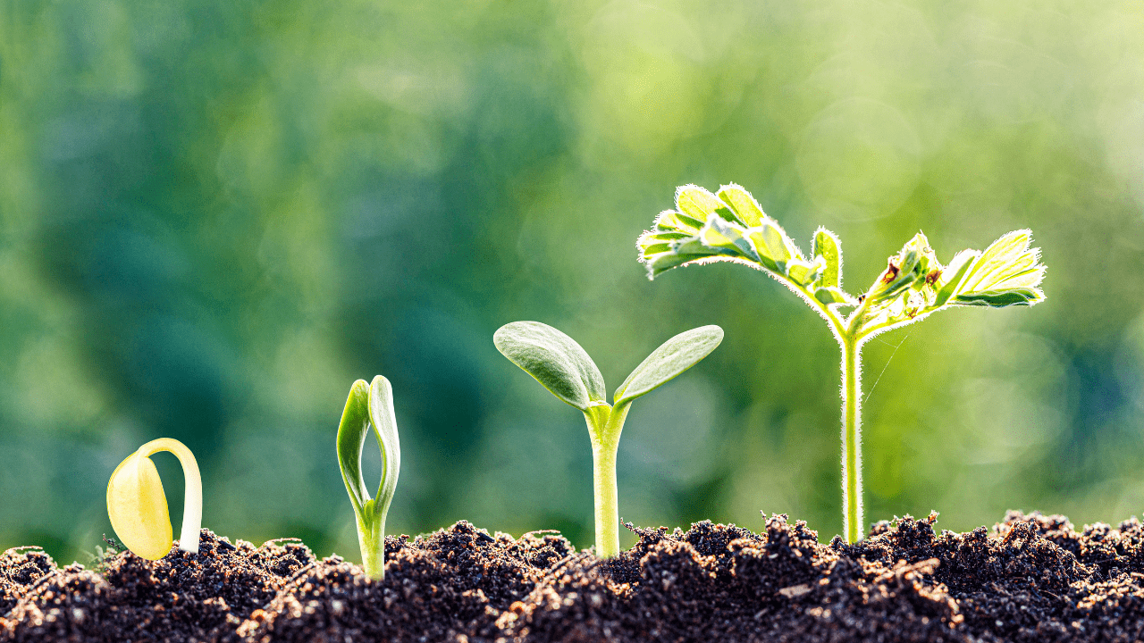 Thought for the Month – April