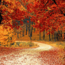 Thought For the Month - October