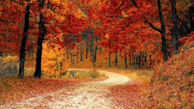 Thought For the Month - October