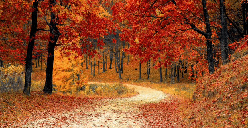 Thought For the Month - October